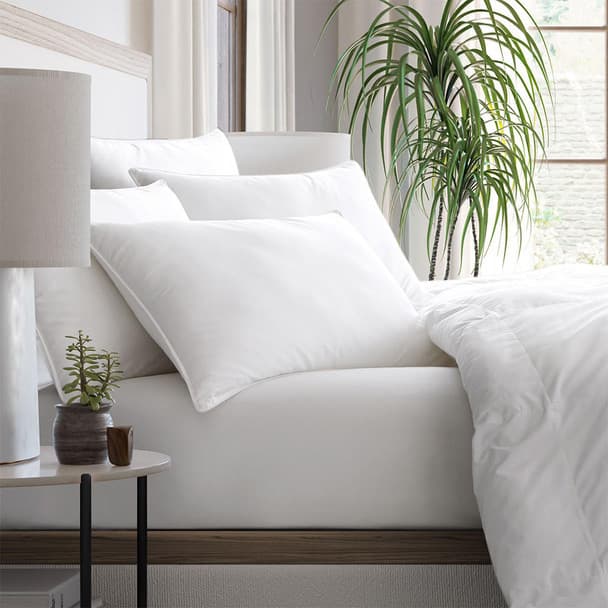 50/50 Down & Feather Blend Pillow (Grey Duck) - Medium Support